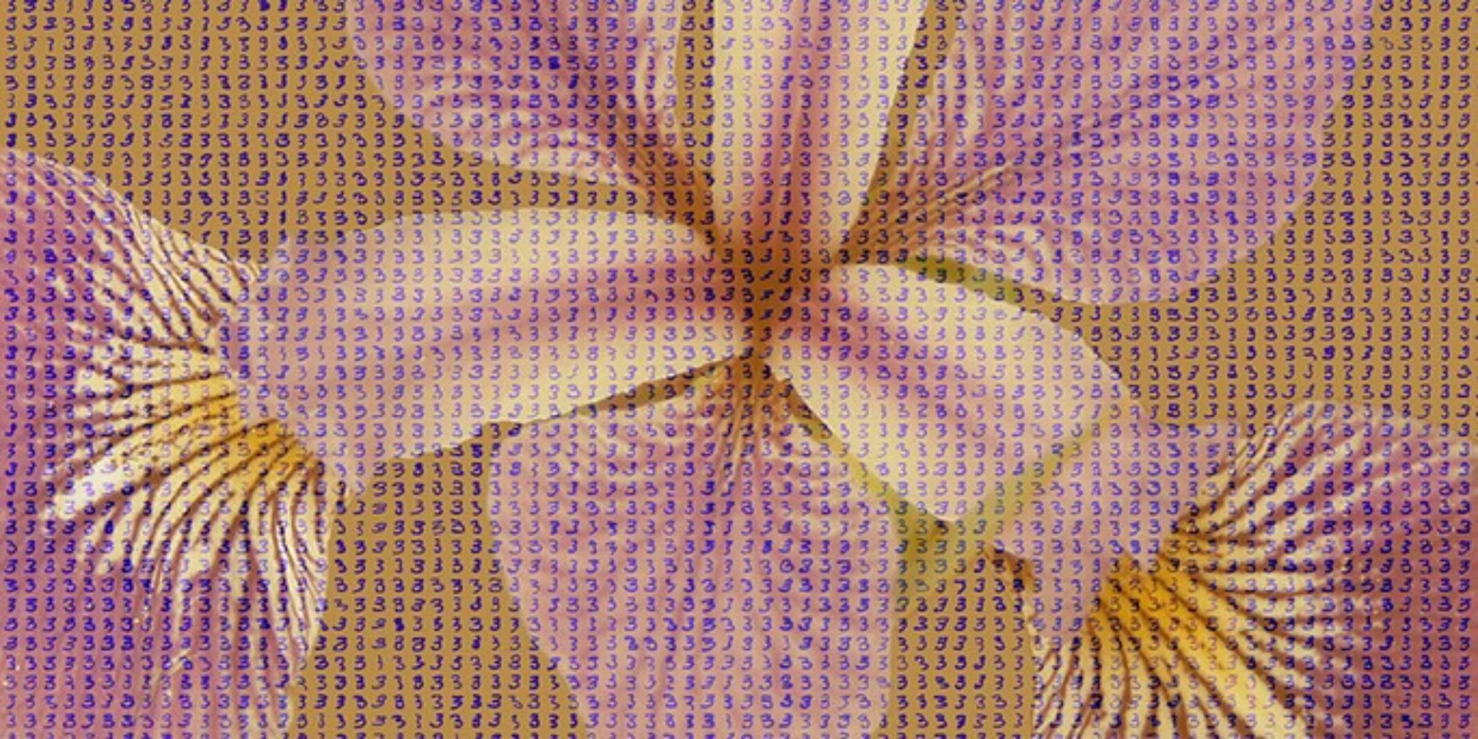 Abstract close-up of a flower blossom overlaid with a grid of small purple number threes.