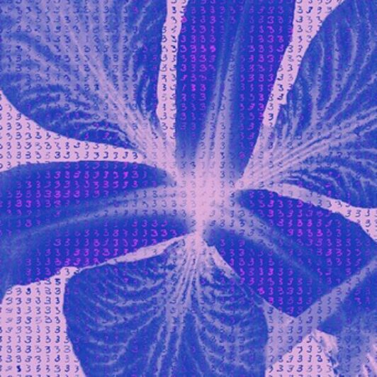 Blue and pink abstract graphic overlaying flower petals with a repeating pattern of small handwritten digit threes.