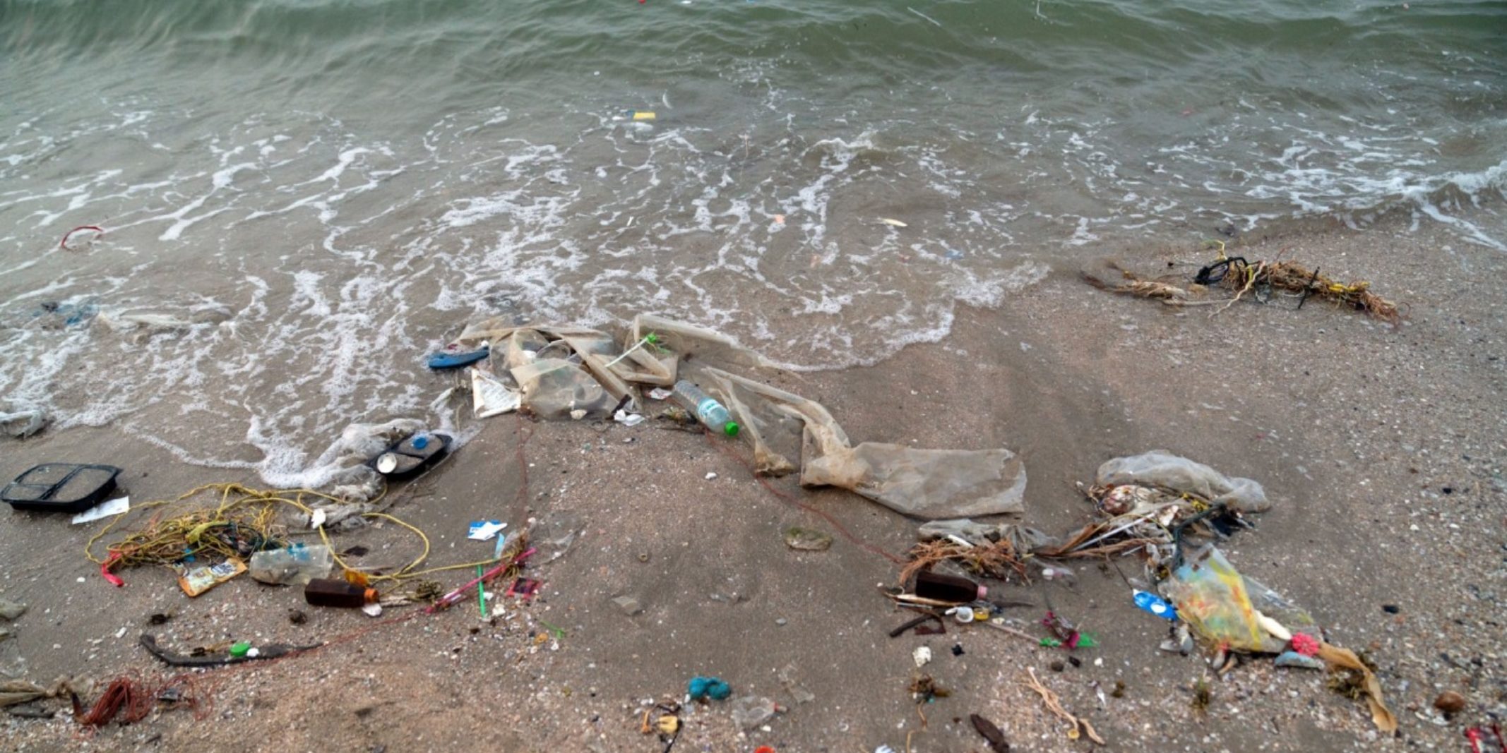 Piles of trash including plastic bottles, bags, and straws wash up on the beach.