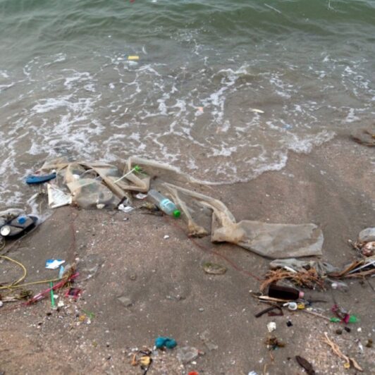 Piles of trash including plastic bottles, bags, and straws wash up on the beach.