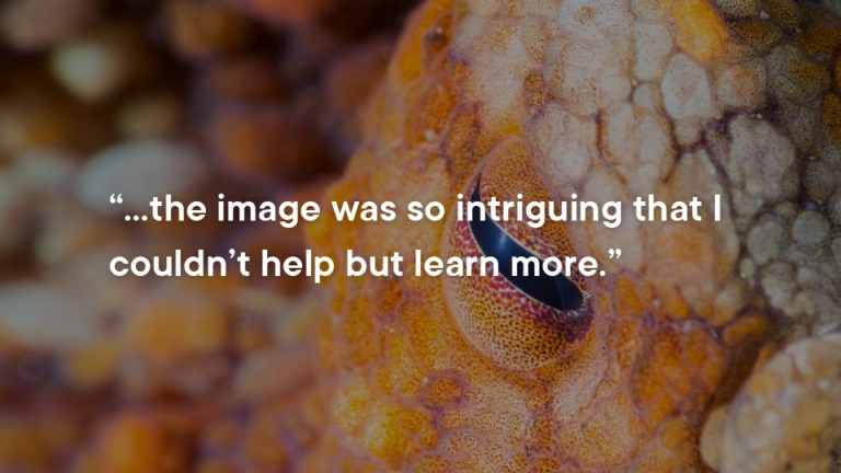 Close-up of an octopus eye with the quote, “...the image was so intriguing that I couldn’t help but learn more.”