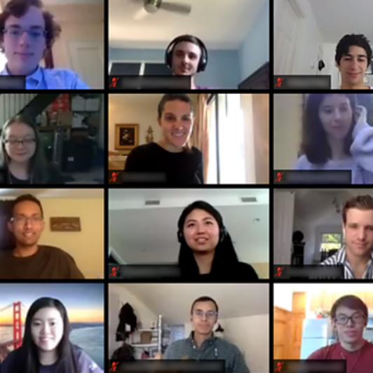 A grid of about twenty people on a video call, each in their own home setting during a virtual meeting.