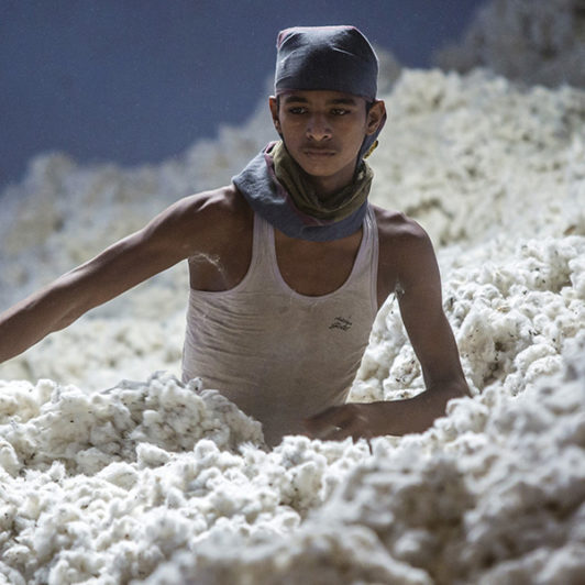 A man walking through a sea of wool