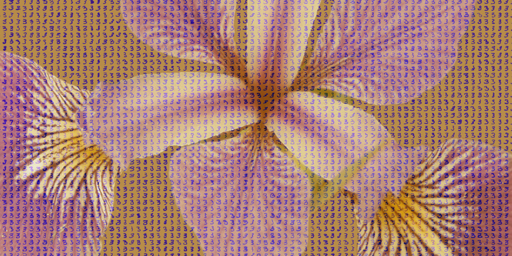 A Image of a flower with a bunch of 3s written all over the image