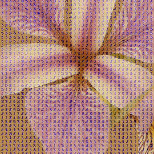 A Image of a flower with a bunch of 3s written all over the image