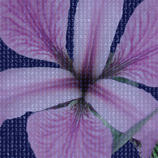 purple flower with 3s written all over
