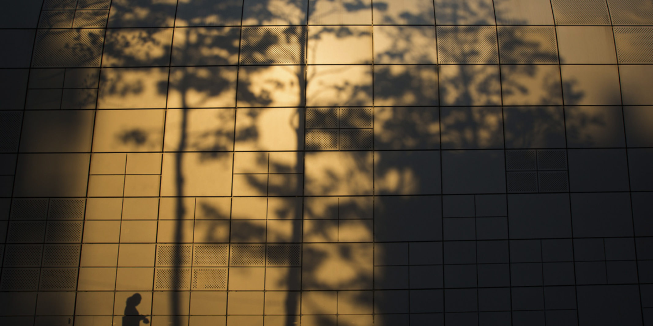 picture of the side of the building in a sunset